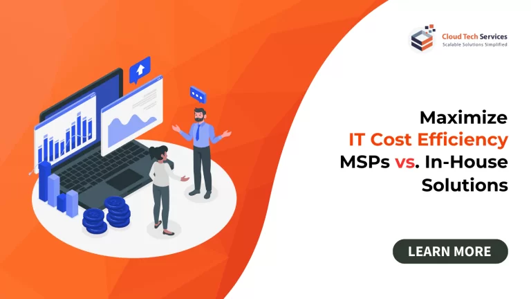 Maximize IT Cost Efficiency MSP VS In House Solutions